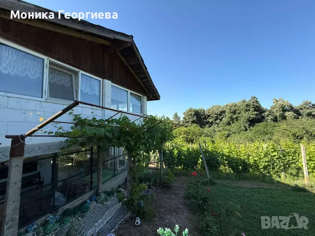 Уютна къща сред природата в с. Звездица, снимка 6 - Къщи - 55430299