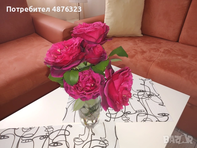 Varna Sea Residence , снимка 10 - Стаи под наем - 55164970