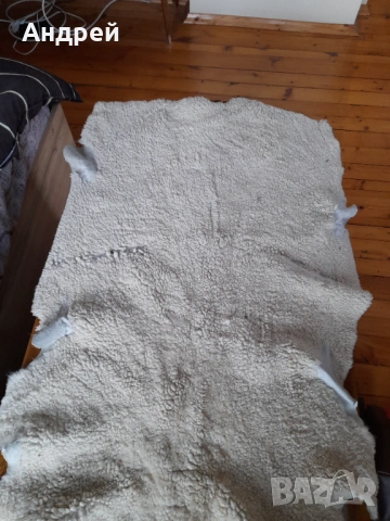 Стара естествена кожа #3, снимка 2 - Други ценни предмети - 54229914