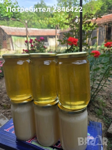 Пчелен мед, снимка 2 - Пчелни продукти - 54721850