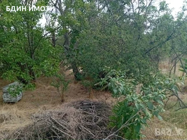 Продавам парцели в с. Капитановци, общ. Видин, снимка 4 - Парцели - 55637689