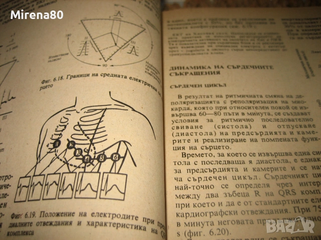 Физиология - 1985 г., снимка 6 - Специализирана литература - 54715543