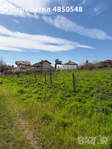 парцел в село Кутово, Видинско