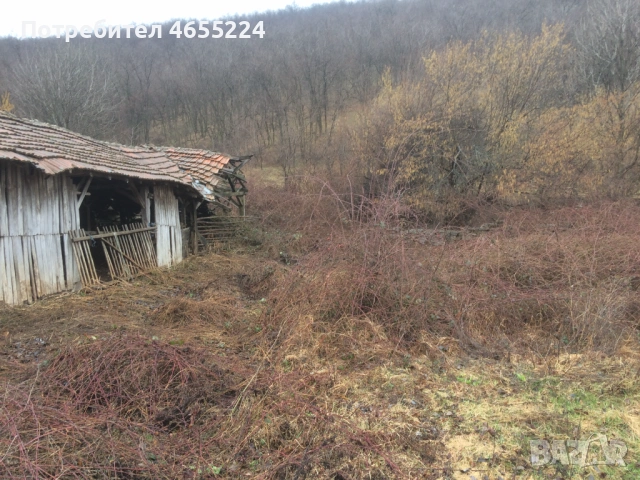 Кошара Чупрене, снимка 6 - Парцели - 54411151