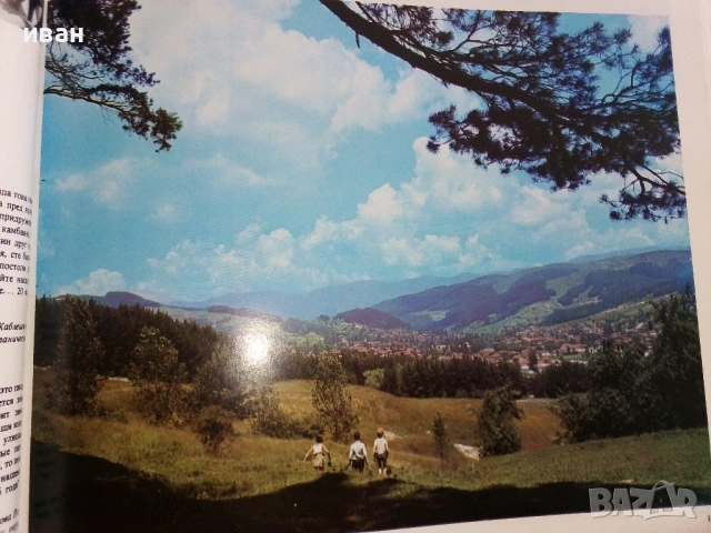 Копривщица, снимка 15 - Енциклопедии, справочници - 54133075