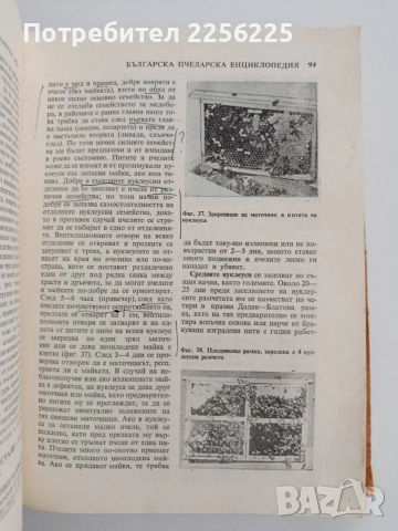 Българска пчеларска енциклопедия, снимка 4 - Специализирана литература - 54790718