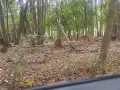 Парцел на главен път Враца Оряхово , снимка 11