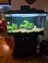подарявам аквариум, снимка 1