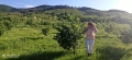 Продавам Бизнес Лешникова градина и къща в  с.Елхово(Милево), снимка 2