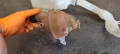 Казанче разширителен съд Peugeot 207, снимка 2