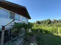 Уютна къща сред природата в с. Звездица, снимка 6