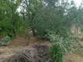 Продавам парцели в с. Капитановци, общ. Видин, снимка 4