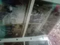 албум фотографии Йордан Йорданов , снимка 4
