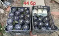Буркани Омния и винтови, снимка 2