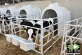 Къщички за новородени телета! Най-доброто качество на балканите!, снимка 4
