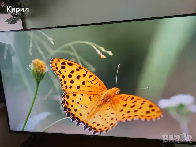 Tcl 43qled780k 4k qled ultra HD 43 inch Google tv, снимка 3 - Телевизори - 55644724