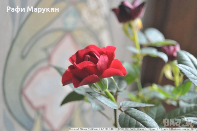 " AF NIKON-F 50" филмов, сигурен, средна класа любителски, снимка 6 - Фотоапарати - 54035753