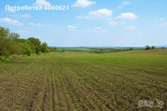 Продавам 41.725 дка земеделска земя в община Вълчи дол