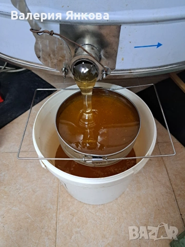 Пчелен мед и пчелни продукти 2026г, снимка 3 - Пчелни продукти - 55011472