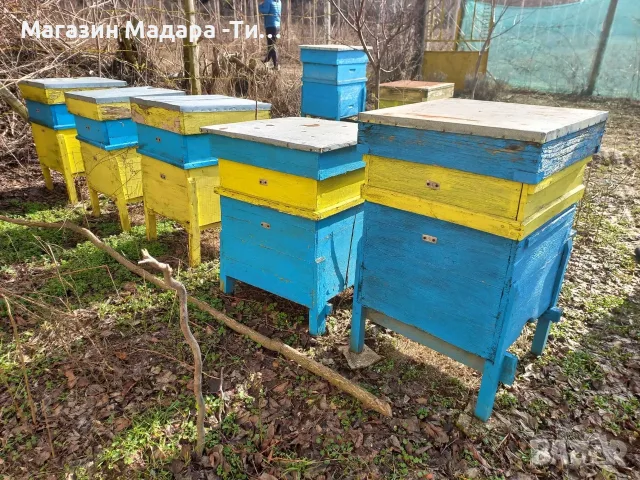 продавам 14 броя пчелни семейства