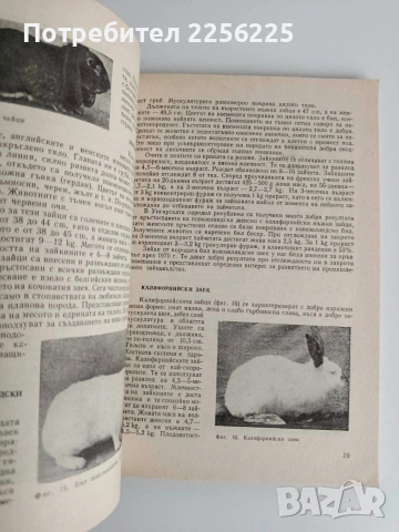 Ръководство за упражнения по зайцевъдство и дивечовъдство, снимка 4 - Специализирана литература - 54466547
