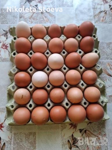 Продавам домашни кокоши яйца !