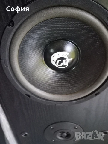 ТРИЛЕНТОВИ колони CAT 401 200- 300w, снимка 4 - Тонколони - 53983713