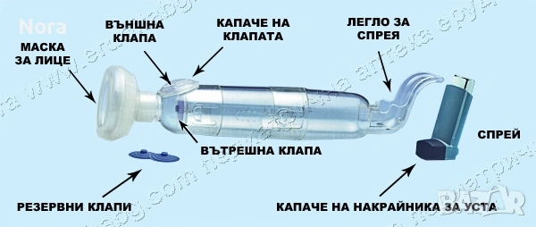 Бейбихалер 