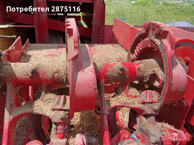  2800 евро добро състояние 089012 66 22, снимка 3 - Овце - 54685386