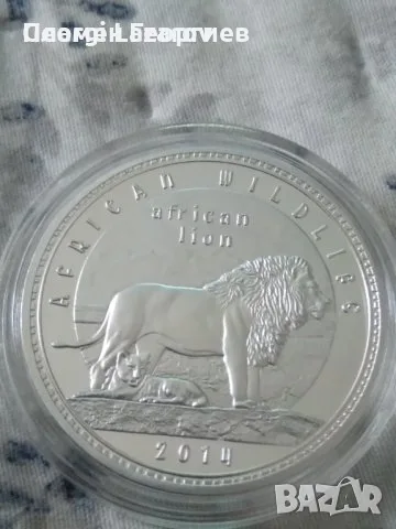 1000 квача Замбия 2014.ЛЪВ