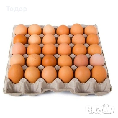 Домашни яйца 
