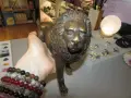 Бронзов авторски лъв 2.3кг 31х18см , снимка 5