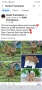 Персийска котка, снимка 4