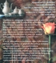 Разнообразни книги - Елин Пелин, Зинаида Гипиус, Джоан Харис и др., снимка 3