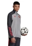 Анцуг на Bayern Munchen, снимка 1