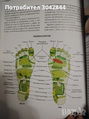Книга за здравето"Завинаги млади"