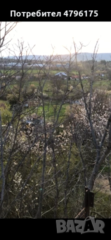 Вила до Борово око, снимка 10 - Вили - 54186488