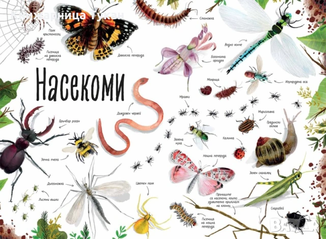 Моята първа книга за природата, снимка 3 - Детски книжки - 55201928