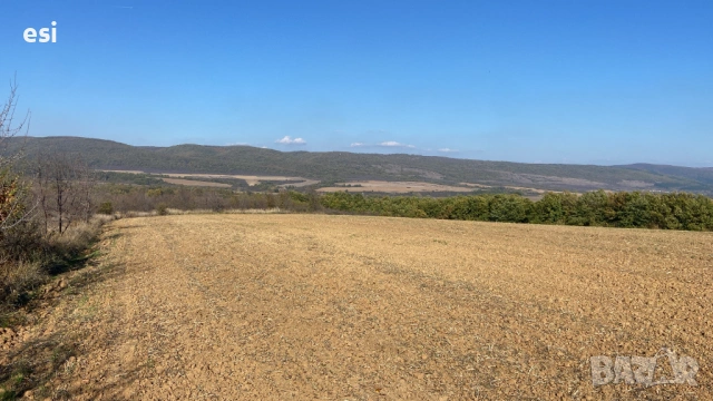 Собственик продава обработваема земеделска земя нива във Варненска област