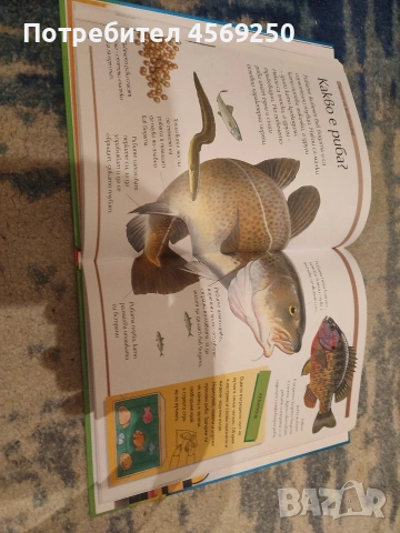 Голяма детска енциклопедия – богато илюстрирана, като нова 📚, снимка 3 - Художествена литература - 54203123