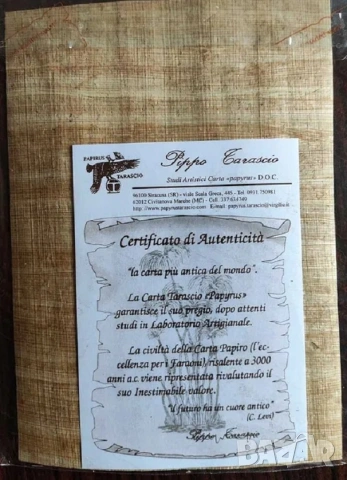 Оригинален папирус от Сиракуза (Сицилия) - Архимед, 18 х 13 см, снимка 3 - Антикварни и старинни предмети - 55272842