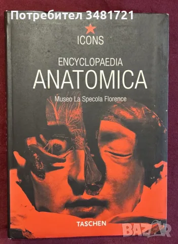 Encyclopaedia Аnatomica