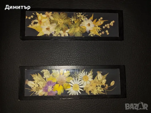 Картина хербарий цветя в рамка ретро от соца