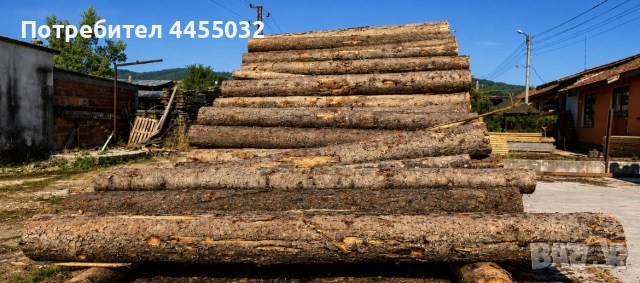 Продавам дървени трупи, снимка 2 - Други - 55273625