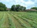 Бали сено и люцерна , снимка 1