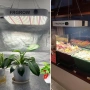 FRGROW 65W димируема LED лампа за растения, снимка 2