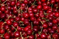 Продавам Череши, снимка 1