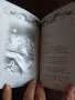 Шедьоври на любовния сонет, издателство"Персей", НОВА, снимка 5