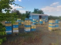 Продавам пчелни семейства с кошери, снимка 1