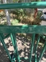 продавам транспортна количка 200kg, снимка 2
